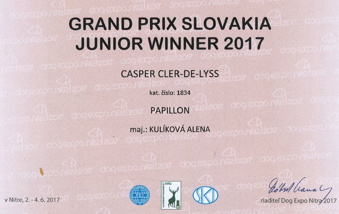 Grand Prix Winner Junior 2017