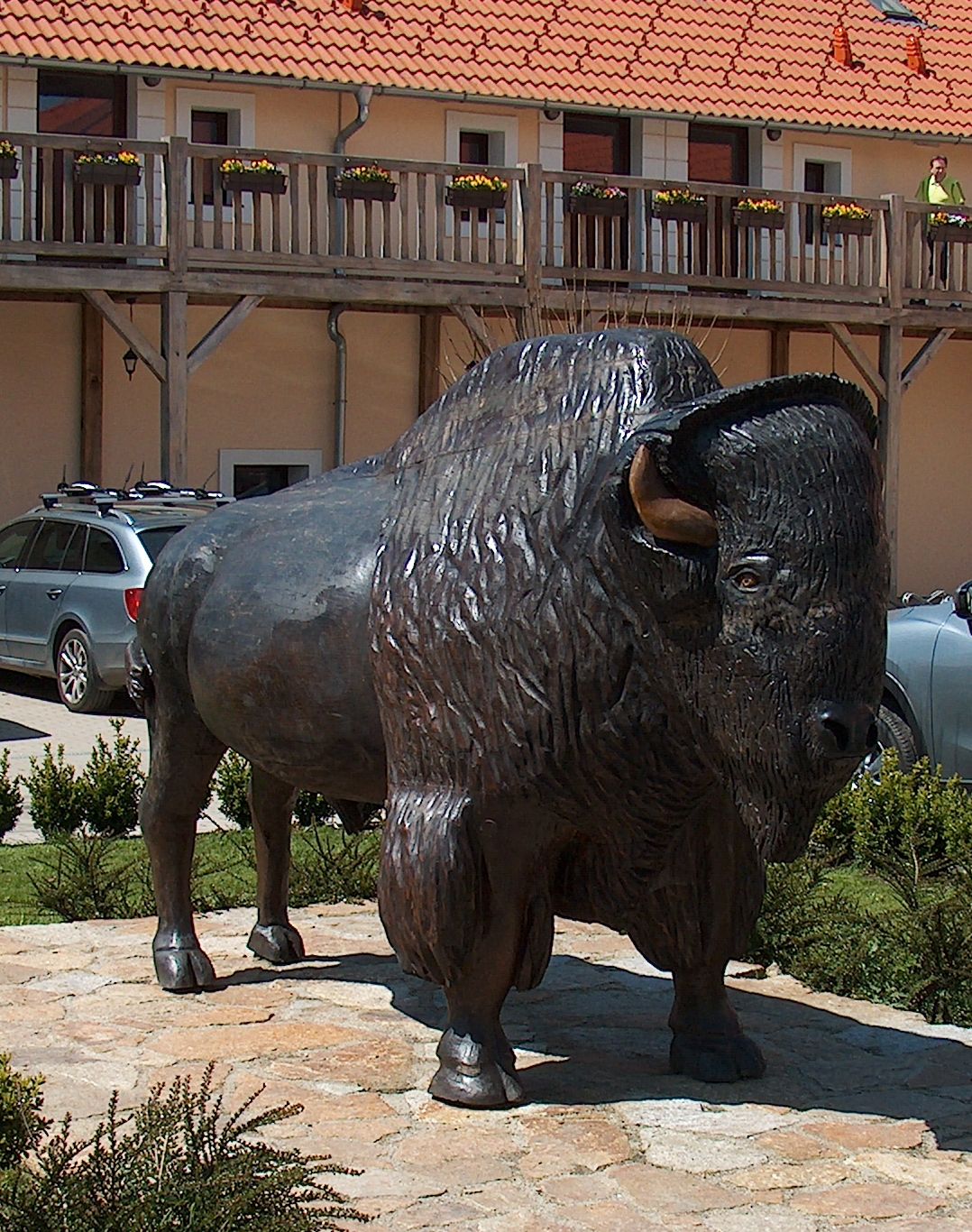 Dřevěný bizon  - ale prý tam byli i živí 