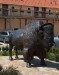 Dřevěný bizon  - ale prý tam byli i živí 