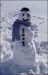Sněhulák na horách - možná přežije do března
